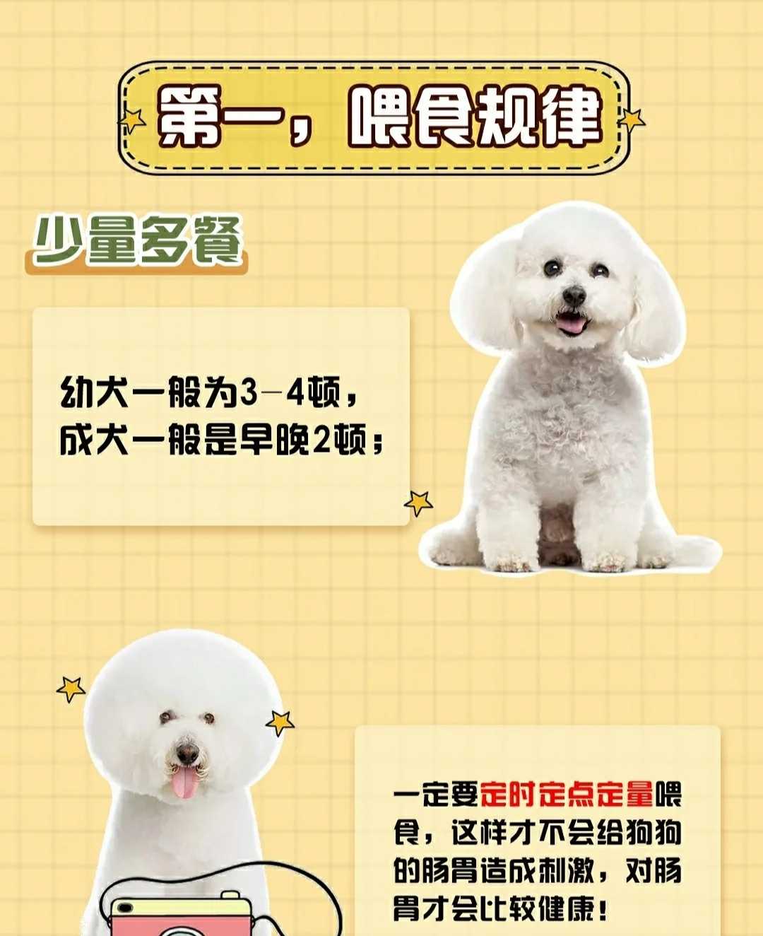 精品锤系德牧幼犬 锤系德国牧羊犬北京德牧犬舍